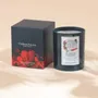 Candles - Ombres Portees Parfumeur scented candle Le Grand Théâtre - OMBRES PORTÉES PARFUMEUR