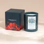 Candles - Ombres Portees Parfumeur scented candle Water Mirror - OMBRES PORTÉES PARFUMEUR