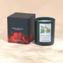 Candles - Ombres Portees Parfumeur scented candle Jardin Public - OMBRES PORTÉES PARFUMEUR