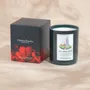 Candles - Ombres Portees Parfumeur  scented candle Pey-Berland - OMBRES PORTÉES PARFUMEUR