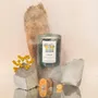 Candles - Ombres Portees Parfumeur scented candle 1903 - OMBRES PORTÉES PARFUMEUR