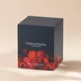 Candles - Ombres Portees Parfumeur scented candle 1903 - OMBRES PORTÉES PARFUMEUR