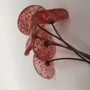 Floral decoration - Small Glass Flower For Outside in Transp.-Red On Flexible... - CARNEOL GLASS