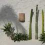 Wall lamps - The Kohei Wall Applique - Natural - BAZAR BIZAR LIVING