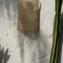 Wall lamps - The SiriKit Wall Applique - Natural - BAZAR BIZAR LIVING