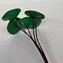 Décorations florales - Petite fleur en verre pour l'extérieur en vert sur tige flexible - CARNEOL GLASS