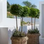 Objets de décoration - Planter basket Hendrik - GOMMAIRE