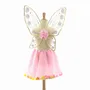 Déguisements pour enfant - Set Tutu & Ailes de Fée Léonie - TU - Déguisement - LABAY