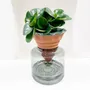 Vases - Nomade ÉMAILLÉ – le vase autonome EN TERRE CUITE 3D - COMMON PLACE YOUR URBAN JUNGLE