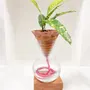 Vases - Nomade ÉMAILLÉ – le vase autonome EN TERRE CUITE 3D - COMMON PLACE YOUR URBAN JUNGLE