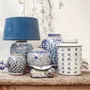 Vases - Bocaux à Gingembre - THE SILK ROAD COLLECTION