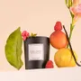 Candles - Candied fruit scented candle black glass - 6,40oz 100% vegetable wax - TANDEM FRAGRANCES