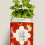 Floral decoration - Sowing Kit - Santa Baby - DIAIWAIE
