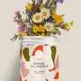 Floral decoration - Sowing Kit - Hymn to Love - DIAIWAIE
