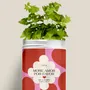 Floral decoration - Sowing kit - More amor por favor - DIAIWAIE