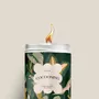 Candles - Candle - Cocooning - cotton flower scent - DIAIWAIE