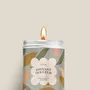 Candles - Candle - Instant softness - cotton flower scent - DIAIWAIE