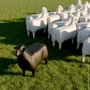 Chaises de jardin - SHEEP - table d'appoint/tabouret - GOODNIGHT LIGHT