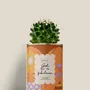 Gifts - Girl, tu es fabuleuse - Maxi Cactus - DIAIWAIE