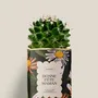 Gifts - Bonne fête maman - Mini Cactus - DIAIWAIE