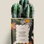 Gifts - Bonne fête maman - Maxi Cactus - DIAIWAIE