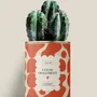 Gifts - Cœur-dialement <3 - Maxi Cactus - DIAIWAIE