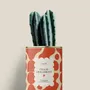 Cadeaux - Cœur-dialement <3 - Mini Cactus - DIAIWAIE