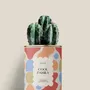 Gifts - Cool family - Mini Cactus - DIAIWAIE