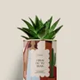 Floral decoration - J'irai ou tu iras - Mini aloé - DIAIWAIE