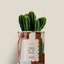 Gifts - J'irai ou tu iras - Mini cactus - DIAIWAIE