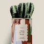 Gifts - J'irai ou tu iras - Maxi cactus - DIAIWAIE