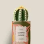 Cadeaux - D'amour et d'eau fraîche - Mini Cactus - DIAIWAIE