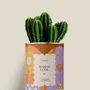 Gifts - Maman cool - Mini Cactus - DIAIWAIE
