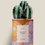 Gifts - Maman cool - Maxi Cactus - DIAIWAIE