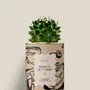 Gifts - Maman je t'aime - Mini Cactus - DIAIWAIE