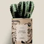 Gifts - Maman je t'aime - Maxi Cactus - DIAIWAIE
