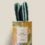 Gifts - Mére veilleuse - Mini Cactus - DIAIWAIE