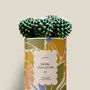 Gifts - Mére veilleuse - Maxi Cactus - DIAIWAIE
