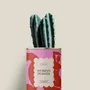 Gifts - Woman power - Mini Cactus - DIAIWAIE
