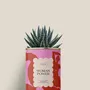 Gifts - Woman power - Mini Aloé - DIAIWAIE