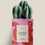 Gifts - Woman power - Maxi Cactus - DIAIWAIE