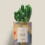 Gifts - Douce Heure - Mini Cactus - DIAIWAIE