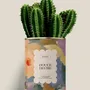 Gifts - Douce Heure - Maxi Cactus - DIAIWAIE