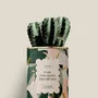 Gifts - Fais pousser tes rêves - Mini Cactus - DIAIWAIE