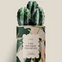Gifts - Fais pousser tes rêves - Maxi Cactus - DIAIWAIE