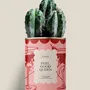 Gifts - FEEL GOOD QUEEN - Maxi Cactus - DIAIWAIE