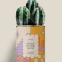Gifts - Focus on the good - Maxi Cactus - DIAIWAIE