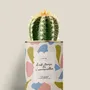 Gifts - Il est temps de s'aimerveiller - Mini Cactus - DIAIWAIE