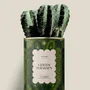 Gifts - GREEN THERAPY - Maxi Cactus - DIAIWAIE