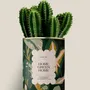 Cadeaux - Home Green Home - Maxi Cactus - DIAIWAIE